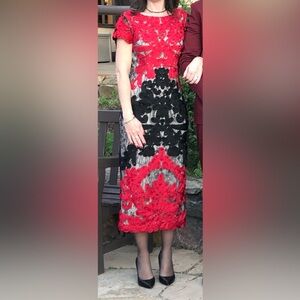 JS Collections Black and Red Dress